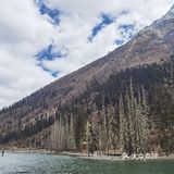 到双桥沟做回藏族姑娘