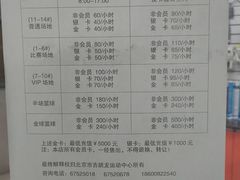 -东丽温泉羽毛球