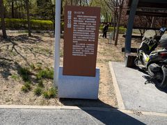 -绿堤公园