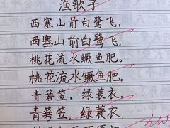 -赵汝飞练字硬笔书法(静安大融城校区)