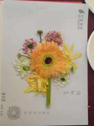 -月来悦好国际月子会所
