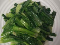 油麦菜-麓湘小镇(开福万达广场店)