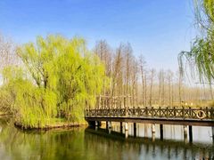 -溱湖国家湿地公园