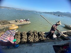 -蚝乡农庄(铁涌赤岸店)