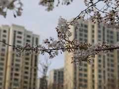 -白塘生态植物园
