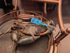 -Ministry of Crab•MOC(交子大道店)