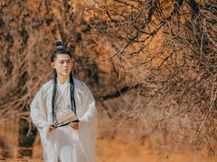 -金塔沙漠胡杨林景区