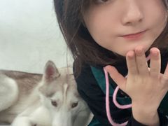 -星多哈·狗咖·拼豆·咖啡