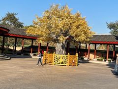 -广东圆玄道观
