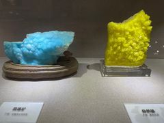 -陕西自然博物馆