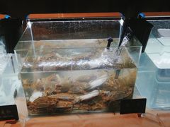 -长沙三景韦尔斯利酒店·Oval全日制餐厅自助餐