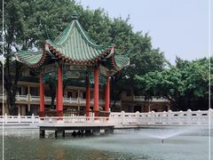 -广东圆玄道观
