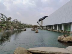 -罗红摄影艺术馆