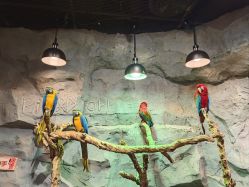 -Zoolung Zoolung动物主题公园(海信广场店)