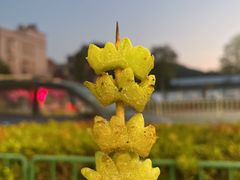 -啊溜烧烤·炭火传承(南澳店)