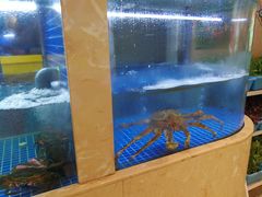 水产区-花中城·杭帮菜·粤菜·海鲜火锅(清泰街店)