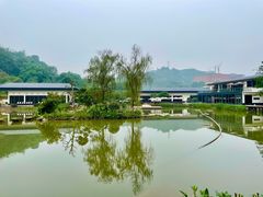 -张坝桂圆林公园