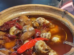 辣酒煮花螺-行家海鲜火锅酒家(静安寺店)
