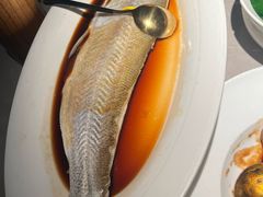-醉庐·新上海菜(南京西路店)