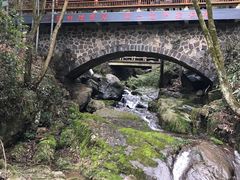 -藏龙百瀑风景区