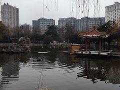 -西苑公园