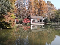 -山外山菜馆(玉泉路店)