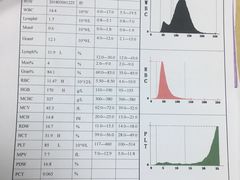 -睿金宠物医院·CT·肿瘤·骨外科