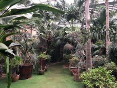 -呀路古热带植物园