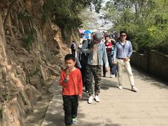 -上海佘山国家森林公园西佘山园