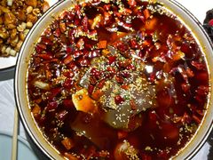 -雲蜀龙阁·金牌水煮鱼(方庄店)