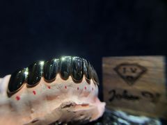 -梵薇Joker.V银饰工作室