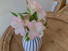 -AHAVA·Fang Baking Studio