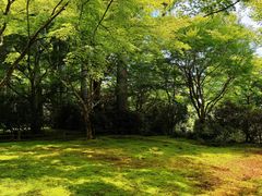 -三千院