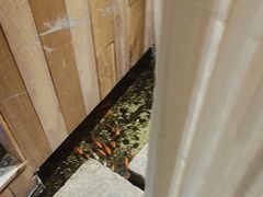 -邈墨茶馆(凤起路店)