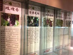 -北京张裕爱斐堡酒庄