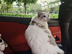 -二沙岛艺术公园