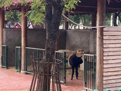 -无锡动物园·太湖欢乐园