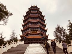 -铁山坪森林公园