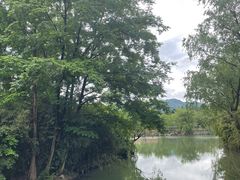 -西溪国家湿地公园