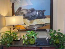 -咪咪比基尼脱毛专业店