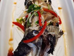 龙胆石斑鱼-盒马鲜生(文景博乐里购物广场店)