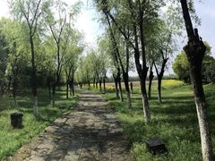 -艾溪湖湿地公园