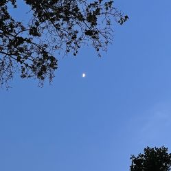 -发源地形象旗舰店