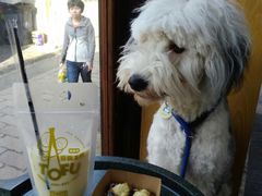 -品腐记·豆腐王朝(老门东总店)