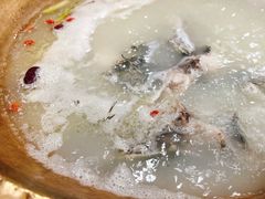 -颜氏双江清水鱼一养身火锅(磁器口店)