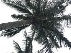 -白沙湾海滩