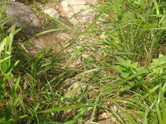 -浙西天池-售票处