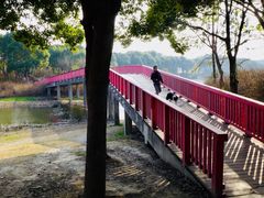 -美兰湖景区