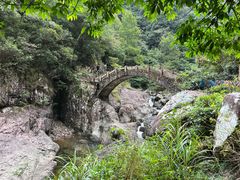 -龙湾潭国家森林公园