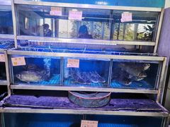 -八仔大富楼·河鲜(西江店)